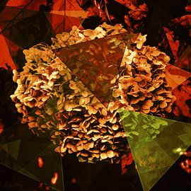Morceaux d'autum avec hortensia sur Helga Blanke
