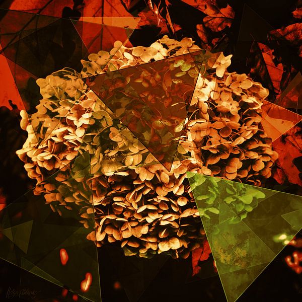 Morceaux d'autum avec hortensia par Helga Blanke