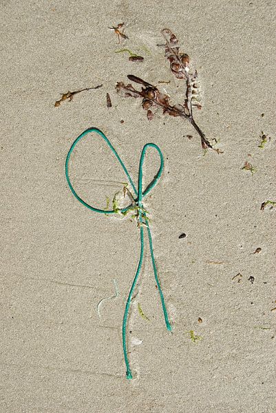 stilleven van zand, wier en plastic van Renée Teunis