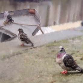 Duiven aan de Amsterdamse gracht van Studio Mirabelle
