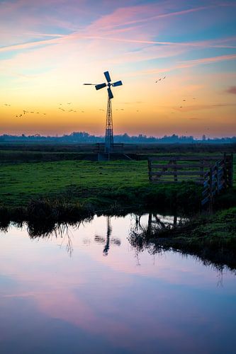 Windmühle im Polder von Wijnand Pols