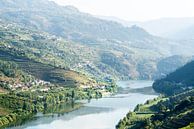 Douro-Fluss zwischen Weinbergen: Portugal von The Book of Wandering Miniaturansicht