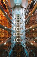 Plafond van Sagrada Familia - Barcelona