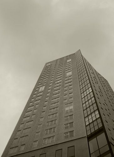 De Admirant in sepia tint