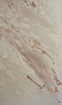 Modern Abstract Organisch Textuur kunstwerk in zand aardetinten