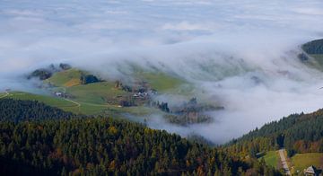 Nebelstimmung im Schwarzwald von Tanja Voigt