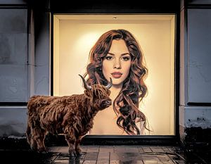 Highlander in der Stadt