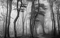 Speulderbos