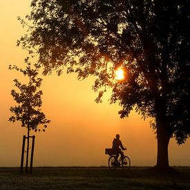 Cyclistes et arbres en silhouette le matin au lever du soleil sur Margriet Pflug