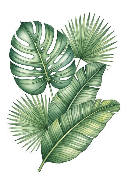 Aquarell Illustration von tropischen Blättern von Markus Gann