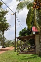 Surinaamse natuur