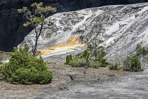 mound terrace - yellowstone national park sur Koen Ceusters