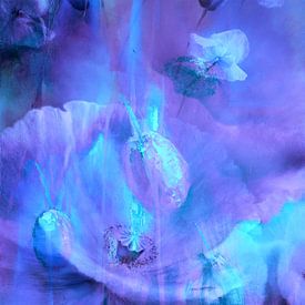 Symphony - Flower dreams in violet and turquoise by Annette Schmucker