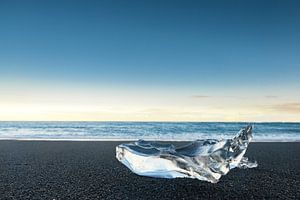 Delicate piece of ice washed up on the ash beach at Jokulsarlon in Iceland