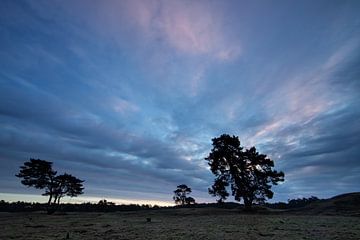 Zonsopkomst landgoed Heidestein Bornia. van Peter Haastrecht, van