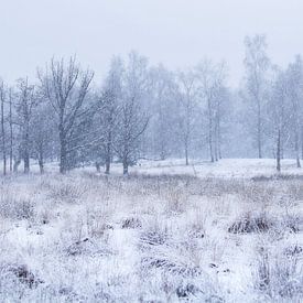 Wit landschap van Vince Pellegrom