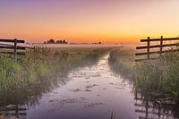 Sonnenaufgang im Polder