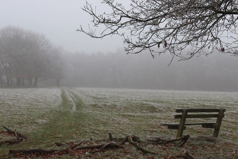 Bossen Bakel von Anne Coenen