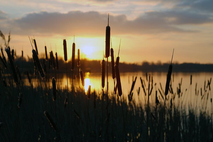 Zonsondergang aan de Gaasperplas par Anne Hana