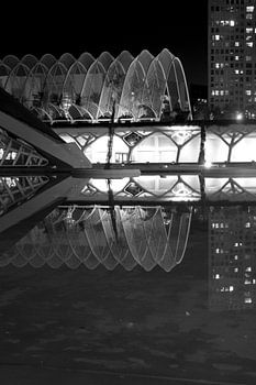 Ciutat de les Arts i les Ciències, Valencia.