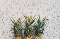 Three pineapples on white marble by MADK thumbnail