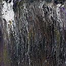 Hope Rising From The Ashes by Dorothy Berry-Lound thumbnail