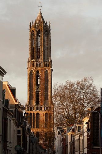 Domtoren in de namiddagzon.