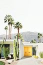Palm Springs 2 by Kathrin Pienaar thumbnail