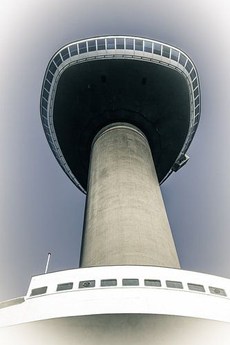Under the Euromast in Rotterdam