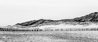 Panorama strand Domburg von Daniël Steenbergen Miniaturansicht