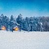Snow Landscape in Finnish Forests by Nancy Pauwels Photo