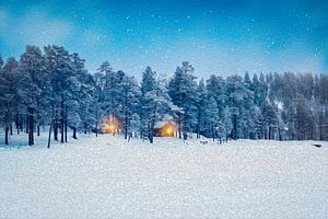 Snow Landscape in Finnish Forests