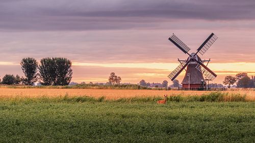 Langelandstermolen a polder mill in Garmerwolde in the province of Groningen by Marga Vroom