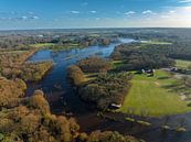 Regge rivier overstroming van boven gezien van Sjoerd van der Wal Fotografie thumbnail