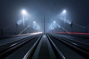 De bekende Erasmusbrug in Rotterdam