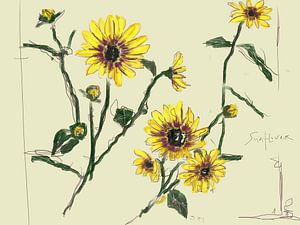 Sunflower Madness van Go van Kampen