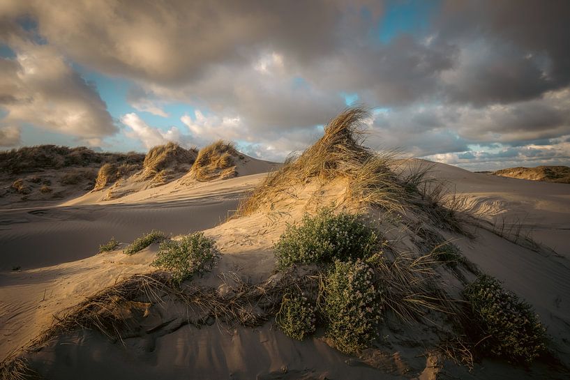 Dunes, light and clouds by Dirk van Egmond