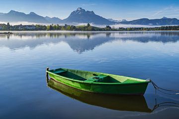 Grünes Ruderboot