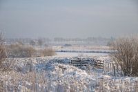 Landschap