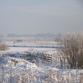 Landschap van Elise Daanen