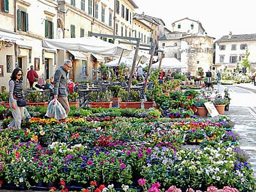 Jaarlijkse bloemenmarkt Cetona Toscane van Dorothy Berry-Lound