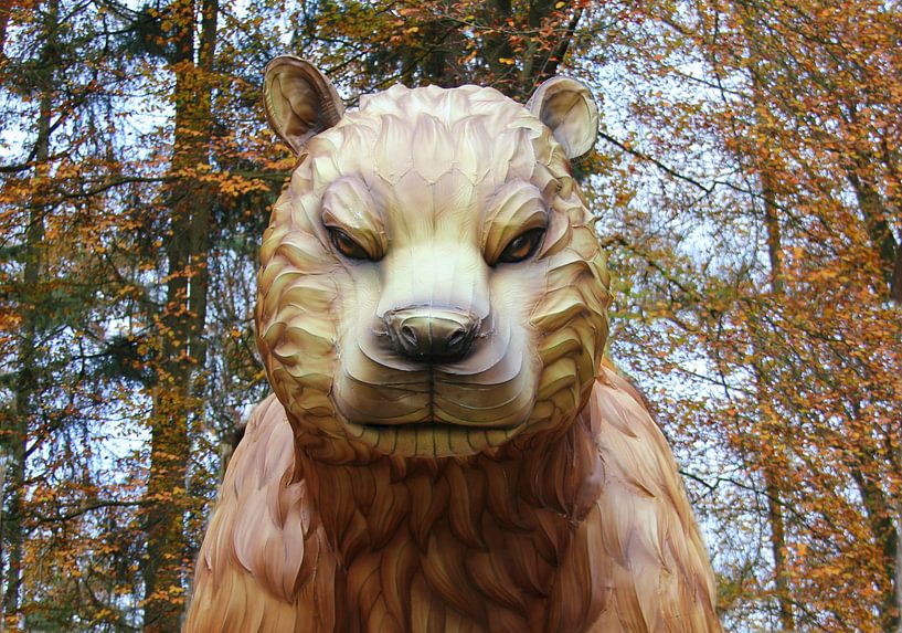 Bärenkopf von Jose Lok