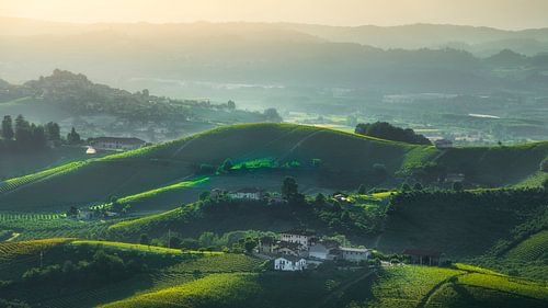 Langhe wijngaarden landschap bij zonsondergang