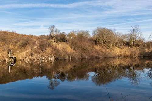 Weerspiegeling...