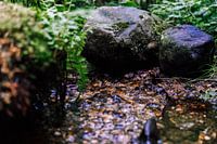 Water flow