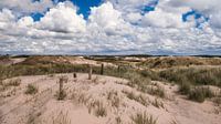 Dutch Dunes by Rob van Dongen thumbnail
