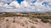 Dutch Dunes
