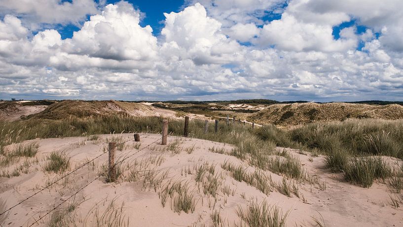 Nederlandse Duinen van Rob van Dongen