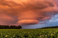 Donderwolk