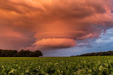Thundercloud by Rik Zwier